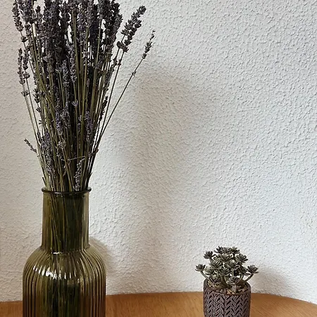 アパート 2 Pieces Vue Dans Le Quartier Historique De